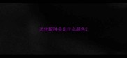 边牧配种会出什么颜色