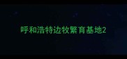 呼和浩特边牧繁育基地