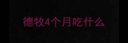德牧4个月吃什么