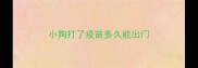 小狗打了疫苗多久能出门