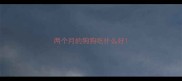 两个月的狗狗吃什么好