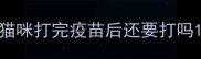 猫咪打完疫苗后还要打吗