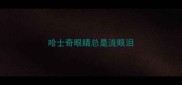 哈士奇眼睛总是流眼泪