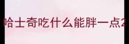 哈士奇吃什么能胖一点