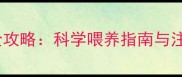 三个月哈士奇饮食全攻略科学喂养指南与注意事项附食谱