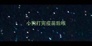 小狗打完疫苗后咳