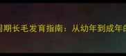 金毛幼犬全周期长毛发育指南从幼年到成年的科学养护全