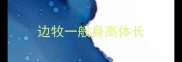 边牧一般身高体长