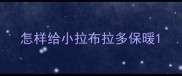 怎样给小拉布拉多保暖