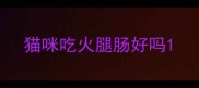 猫咪吃火腿肠好吗