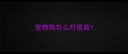 宠物狗怎么打疫苗