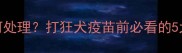 狗耳螨如何处理打狂犬疫苗前必看的5大注意事项