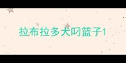 拉布拉多犬叼篮子