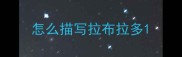 怎么描写拉布拉多