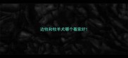 边牧和牧羊犬哪个看家好