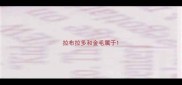 拉布拉多和金毛属于