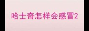哈士奇怎样会感冒