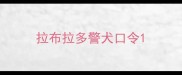 拉布拉多警犬口令