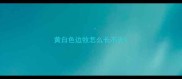 黄白色边牧怎么长不大