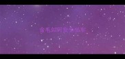 金毛如何安全坐车