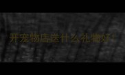 开宠物店送什么礼物好