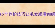 拉布拉多毛比较长这5个养护技巧让毛发顺滑如绸缎附日常护理全攻略