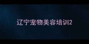 辽宁宠物美容培训