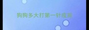 狗狗多大打第一针疫苗
