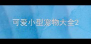 可爱小型宠物大全