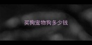 买狗宠物狗多少钱