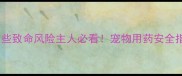狗狗能吃人感冒药吗这些致命风险主人必看宠物用药安全指南附误食急救步骤