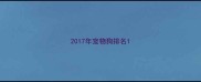 2017年宠物狗排名