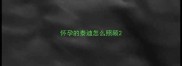 怀孕的泰迪怎么照顾