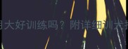 边境牧羊犬7个月大好训练吗附详细训犬指南及养护要点