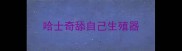 哈士奇舔自己生殖器