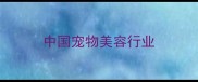 中国宠物美容行业