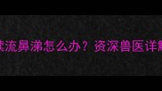 阿拉斯加幼犬5个月持续流鼻涕怎么办资深兽医详解病因与科学护理指南