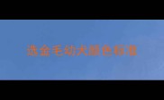 选金毛幼犬颜色标准