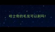 哈士奇的毛发可以剃吗