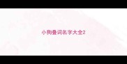 小狗叠词名字大全