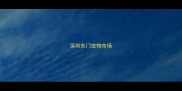 深圳东门宠物市场