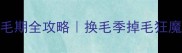 金毛犬换毛期全攻略换毛季掉毛狂魔自救指南