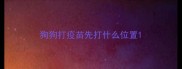 狗狗打疫苗先打什么位置