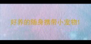 好养的随身携带小宠物