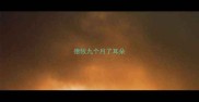 德牧九个月了耳朵