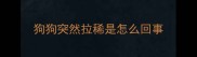狗狗突然拉稀是怎么回事