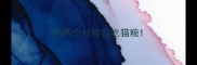 猫两个月可以吃猫粮