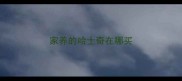 家养的哈士奇在哪买