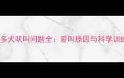拉布拉多犬吠叫问题全爱叫原因与科学训练指南