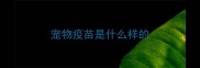 宠物疫苗是什么样的